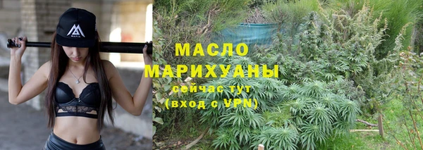 дмт Каменногорск